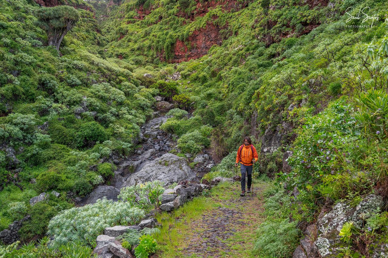 Barranco en Garafía, La Palma