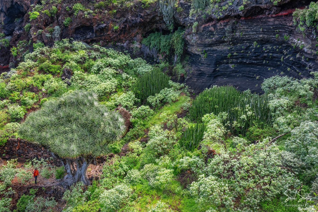 Barranco en Garafía