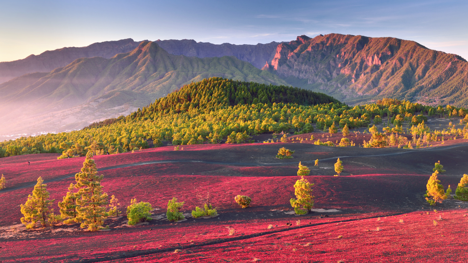 Llano del Jable - La Palma