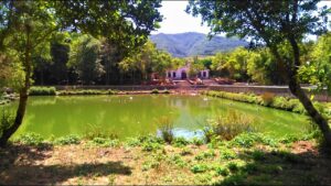 Area Recreativa de Barlovento