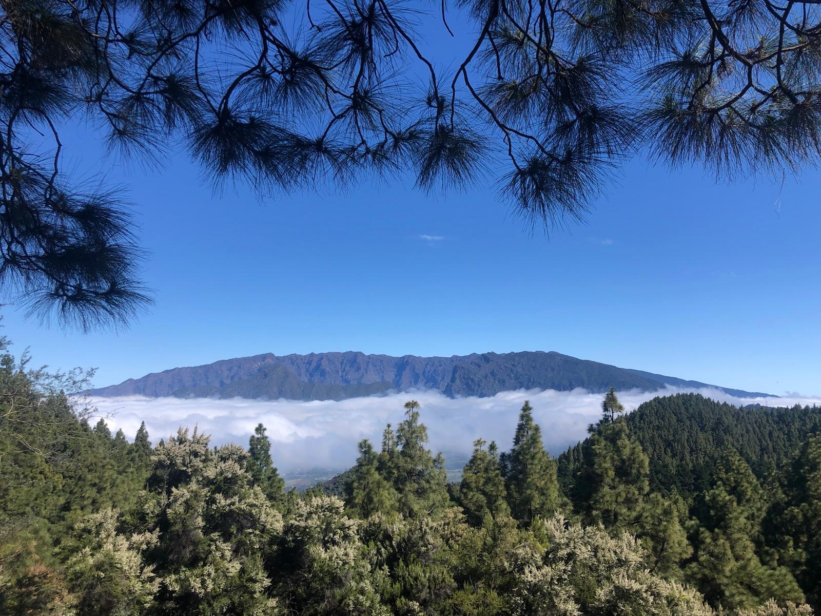 Vista a Cumbre Nueva Ruta de Los Volcanes La Palma