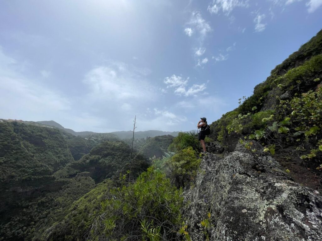 Barranco de Nogales, Puntallana