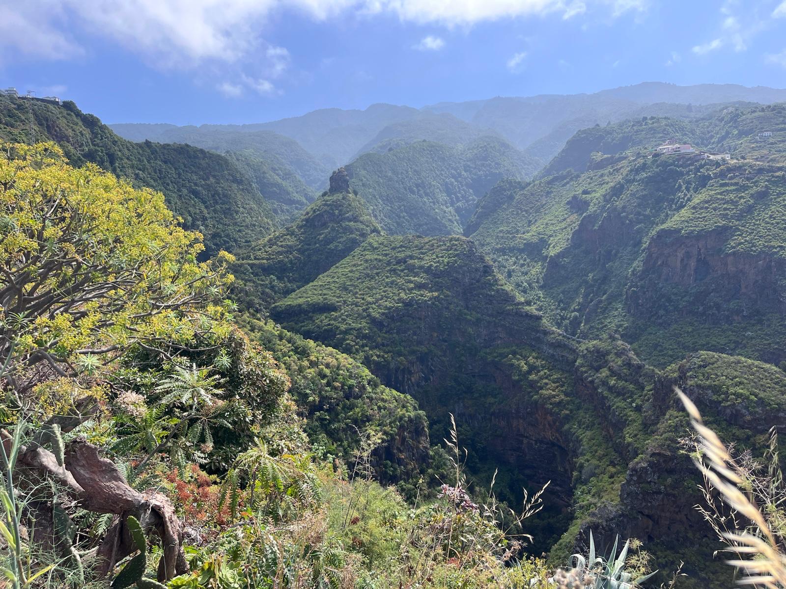 Barranco de La Galga, cerca de la iglesia de San Bartolo