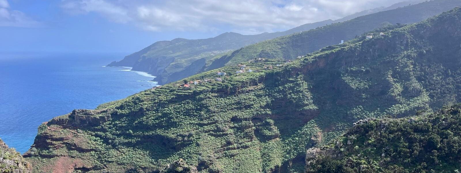 WhatsApp Image 2026 03 19 at 15.19.06