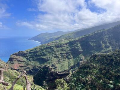 WhatsApp Image 2026 03 19 at 15.19.06