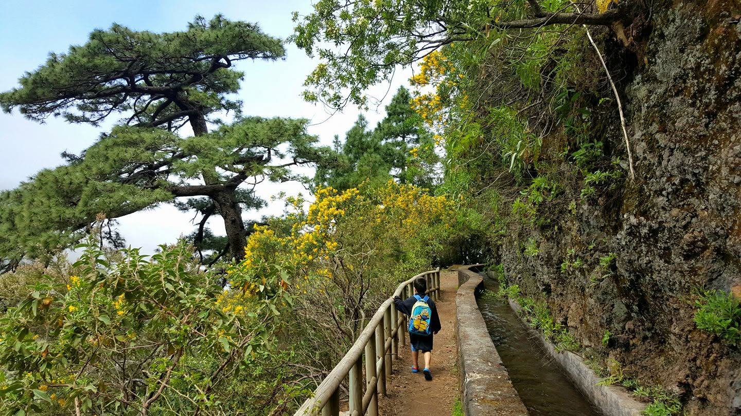 Marcos y Cordero - senderismo guiado en La Palma