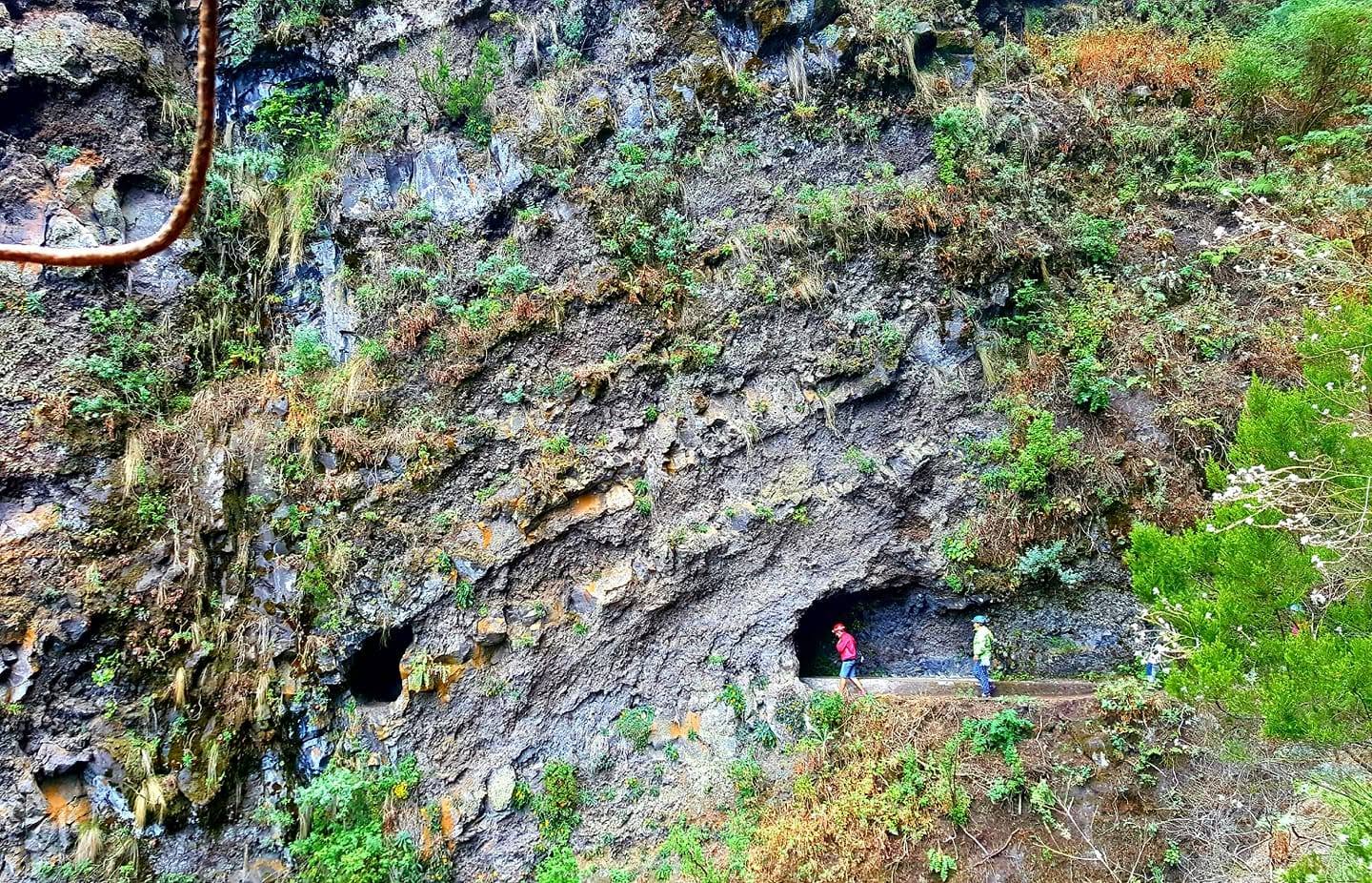 Marcos y Cordero - senderismo guiado en La Palma
